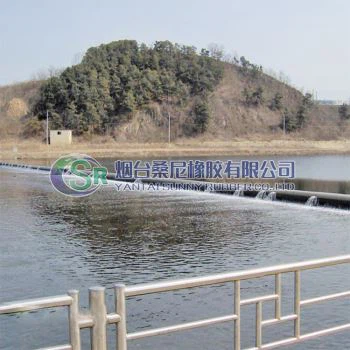 Bacainn Damba rubair Uisce Líonta